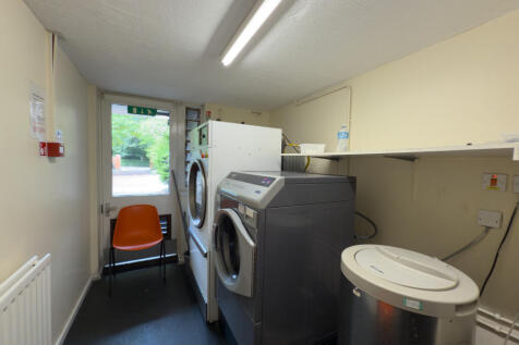 IMG 2582 T202511111920.jpg