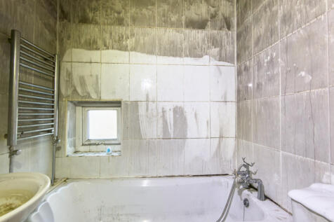 IMG 7692 T202511130803.jpg