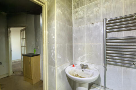 IMG 7694 T202511130803.jpg