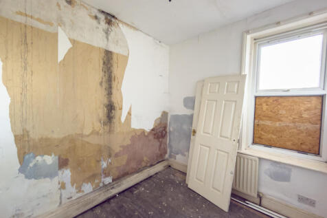 IMG 7677 T202511130803.jpg