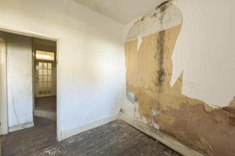 IMG 7681 T202511130803.jpg