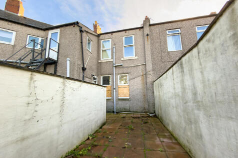 IMG 7667 T202511130803.jpg