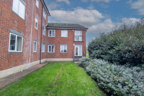 IMG 7855 T202511170818.jpg