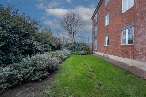 IMG 7853 T202511170818.jpg