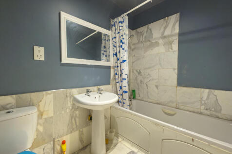 IMG 7848 T202511170818.jpg