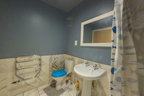 IMG 7850 T202511170818.jpg