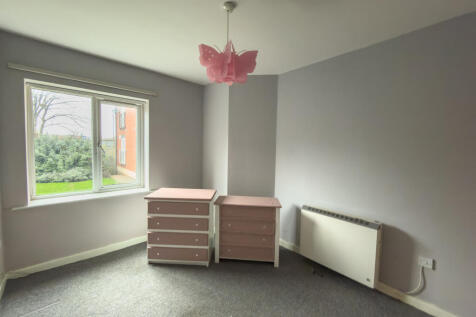 IMG 7838 T202511170818.jpg