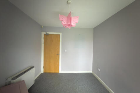 IMG 7842 T202511170818.jpg