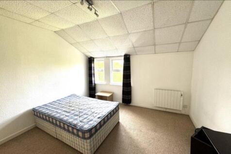 IMG 6556 T202511181357.jpg