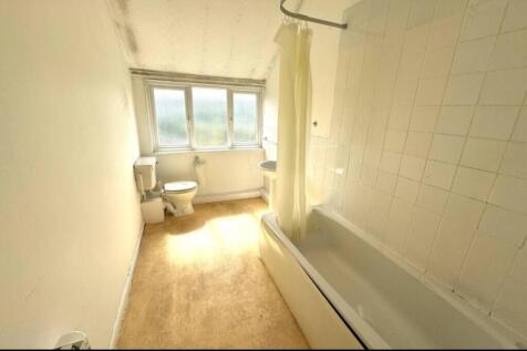 IMG 6557 T202511181357.jpg