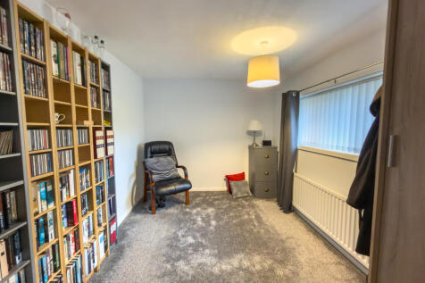 IMG 7982 T202511191825.jpg