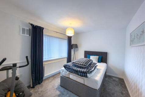 IMG 7977 T202511191825.jpg