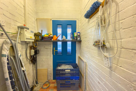 IMG 7972 T202511191825.jpg