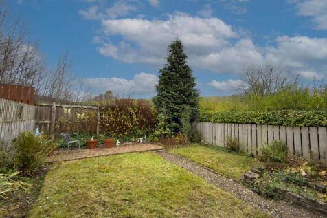 IMG 7975 T202511191825.jpg