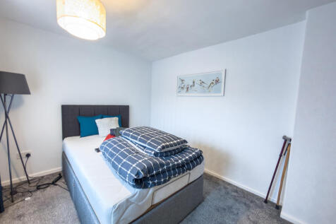 IMG 7979 T202511191825.jpg