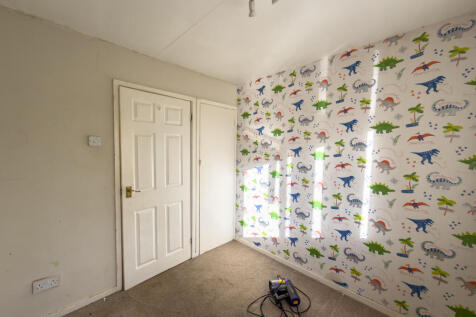 IMG 7893 T202511201510.jpg