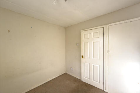 IMG 7894 T202511201510.jpg