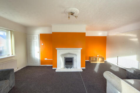 IMG 7882 T202511201510.jpg