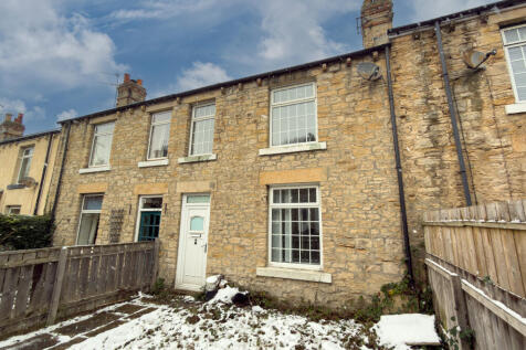 IMG 8091 T202511211140.jpg