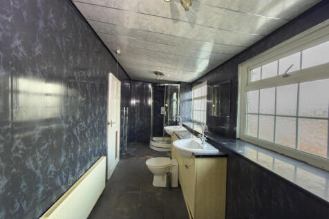 IMG 8115 T202511211140.jpg