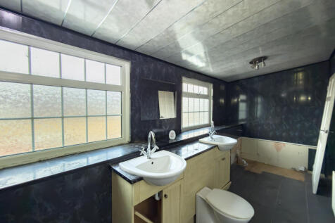 IMG 8114 T202511211140.jpg