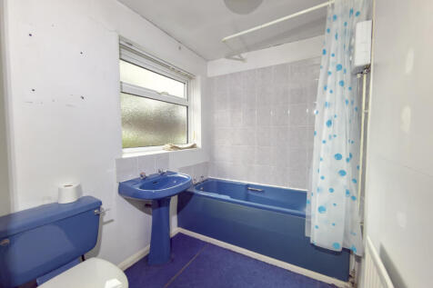 IMG 8148 T202511211522.jpg