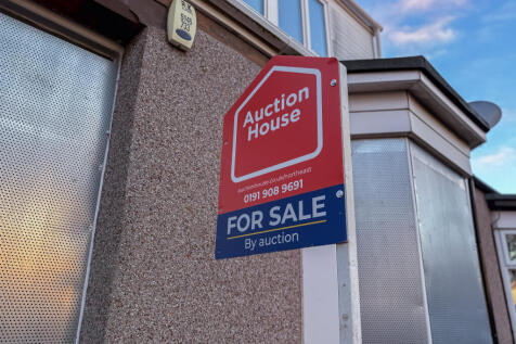 IMG 8380 T202511261752.jpg