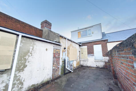 IMG 8383 T202511261752.jpg