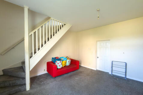 IMG 8692 T202512031247.jpg