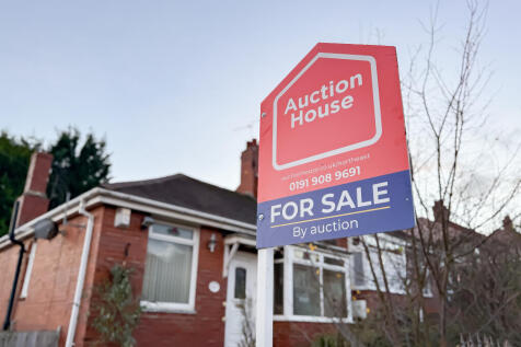 IMG 9336 2 T202512121005.jpg