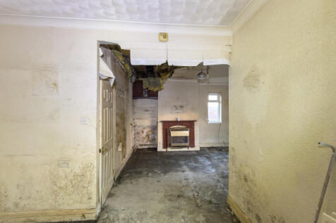 IMG 9314 T202512121005.jpg