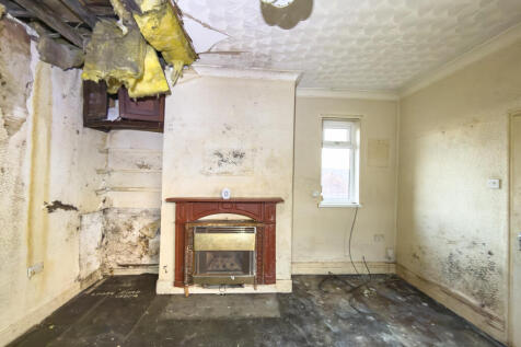 IMG 9305 T202512121005.jpg