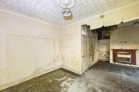 IMG 9313 T202512121005.jpg