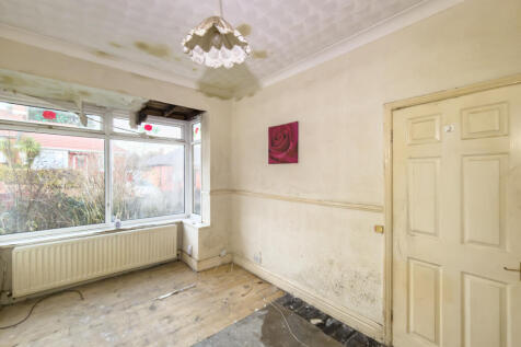 IMG 9296 T202512121004.jpg