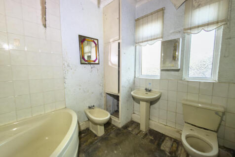 IMG 9300 T202512121005.jpg