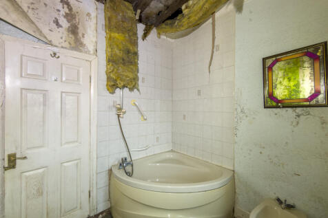 IMG 9301 T202512121005.jpg