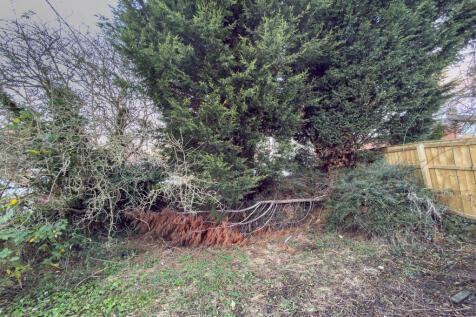 IMG 9327 T202512121005.jpg