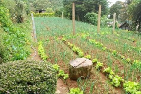 45 Perches Bare Land