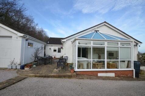 Side Patio and Conservatory