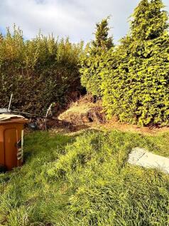 IMG-20251211-WA00...