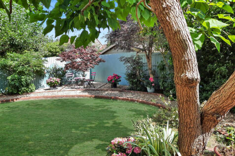 PHOTO-2025-07-22-...