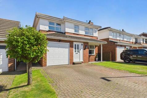 CAM04233G0-PR0025-STILL051