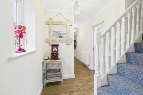 CAM04233G0-PR0033-STILL006