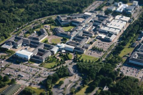 Screenshot 20241022 115026.png