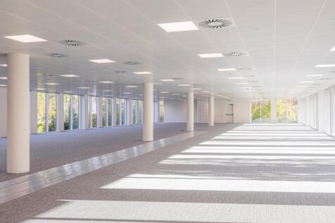 2024 11 13 untitled 073  Copy.jpg