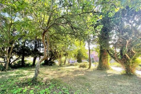 Woods and Front Garden