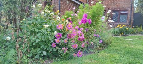Flower Garden