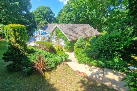 Rear of Property