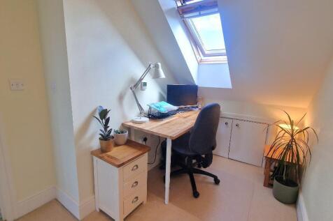 Study Area