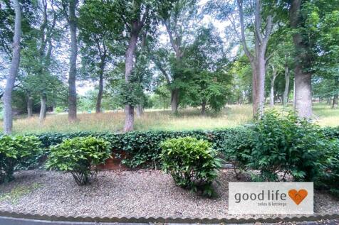 20250708_154013175_iOS32beechholm.jpg